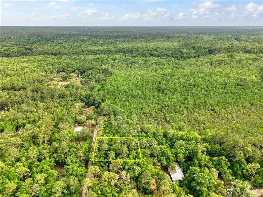0.17 AC Tango Ln, Harold, FL 32563 - #2
