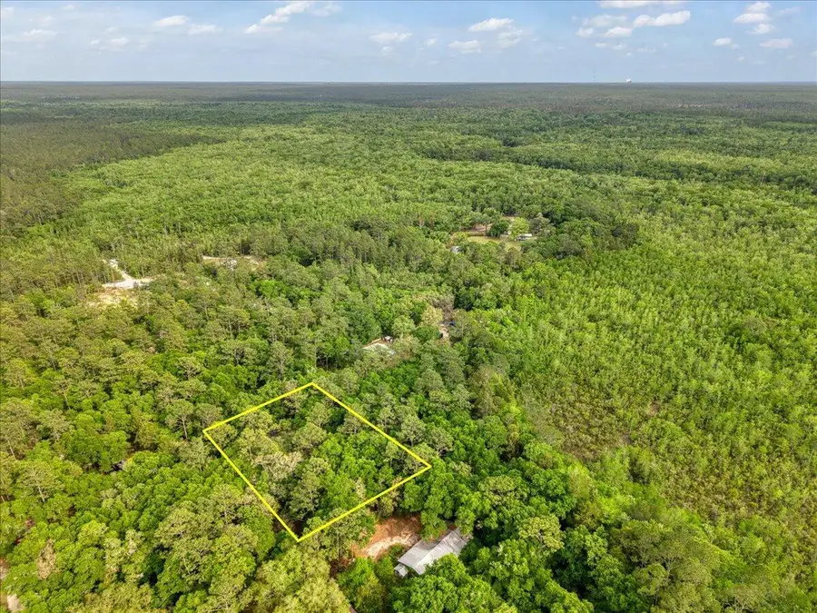 0.17 AC Tango Ln, Harold, FL 32563 - #3