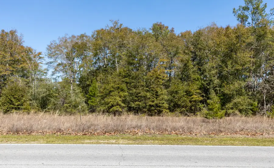 Lot C .63 Acres On Walton Road, Defuniak Springs, FL 32433 - #3