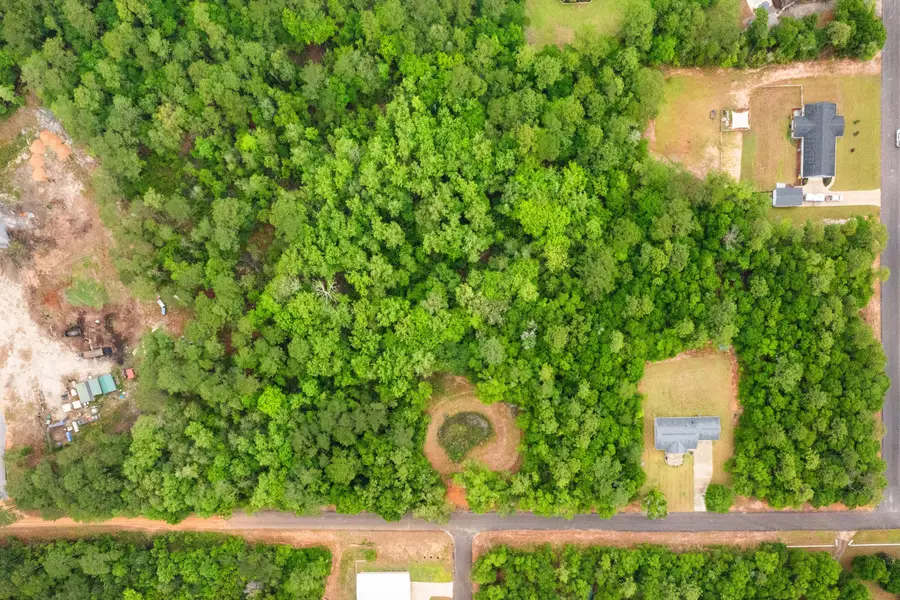 . Sam Carver Road, Crestview, FL 32536 - #2
