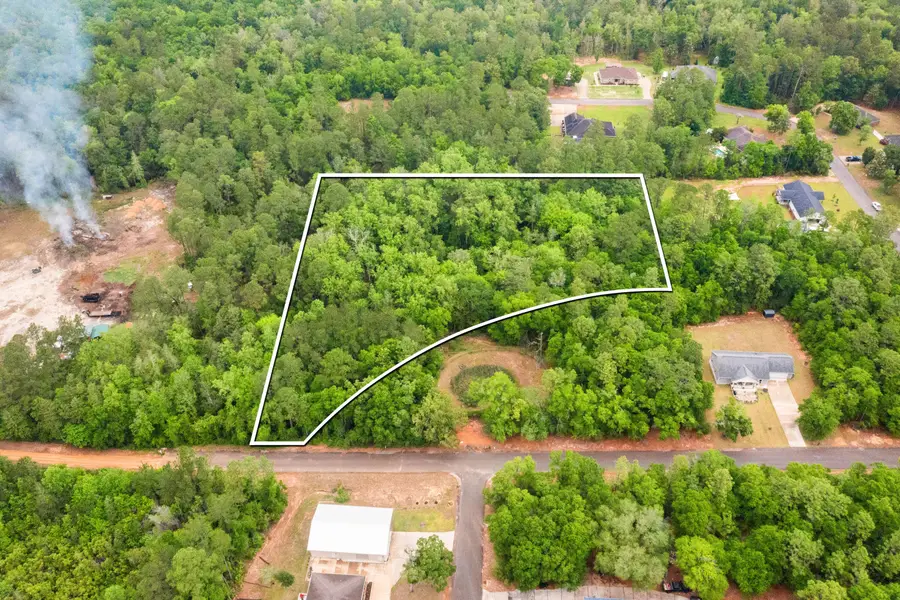 . Sam Carver Road, Crestview, FL 32536 - #3