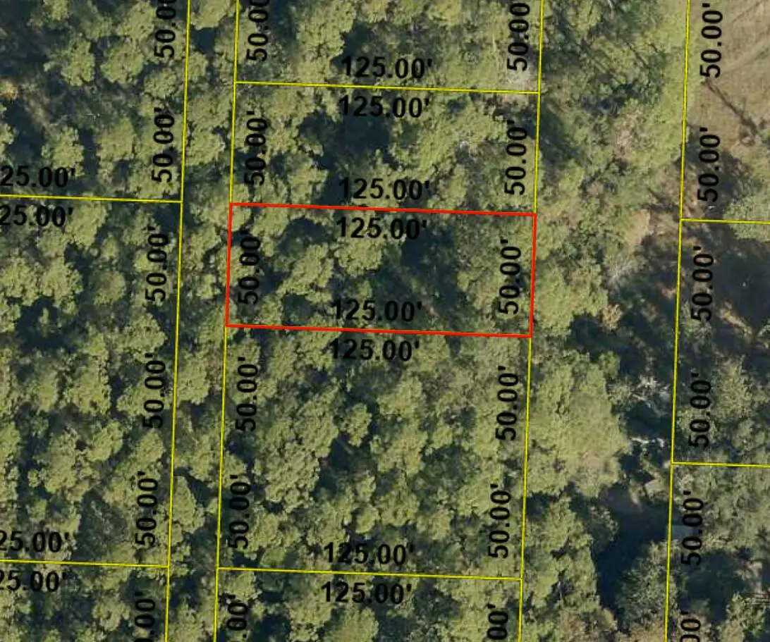 lot 7 N 14th Street, Santa Rosa Beach, FL 32459 - #1