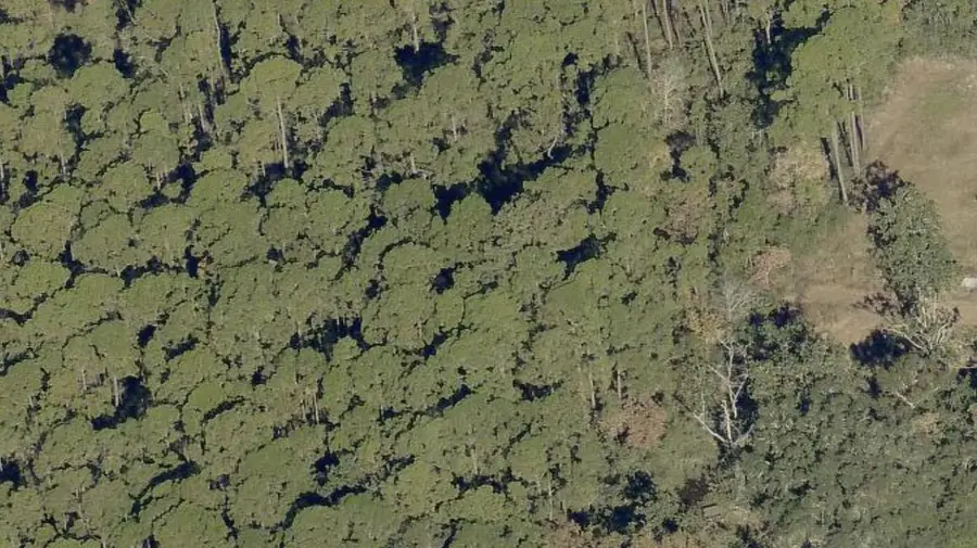 lot 7 N 14th Street, Santa Rosa Beach, FL 32459 - #2