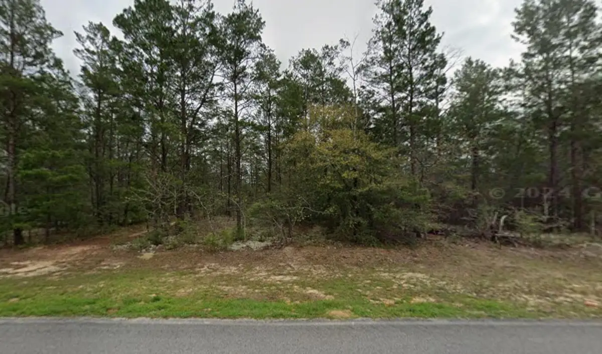 0 May Lilly Court, Defuniak Springs, FL 32433 - #1