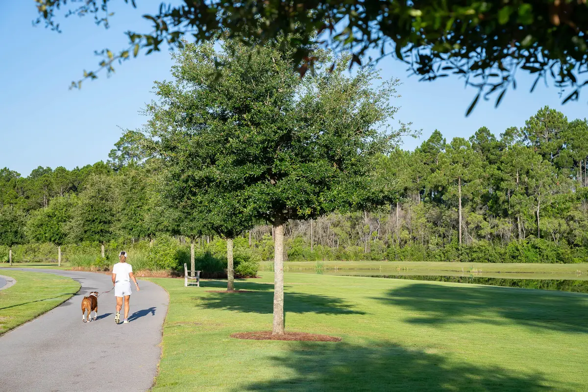 TBD W Elliot Way #Lot 58, Watersound, FL 32461 - #1