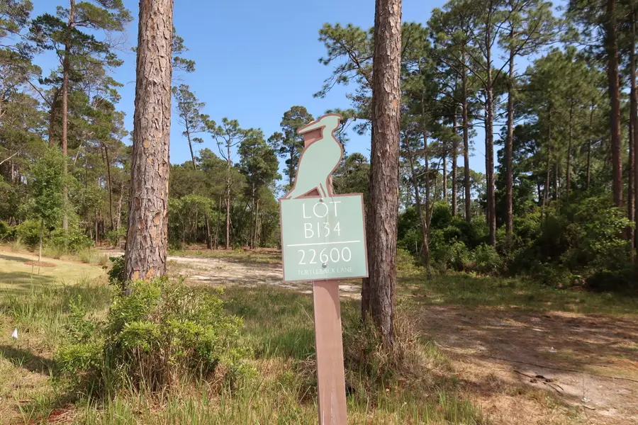 22600 Turtleback Lane, Panama City Beach, FL 32413 - #3