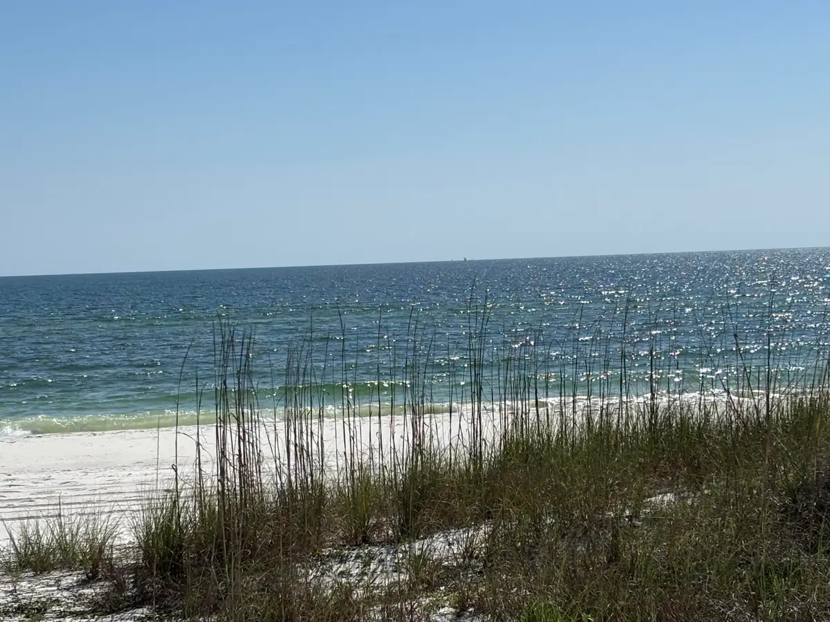 8890 W Hwy 98, Port Saint Joe, FL 32456 - #1