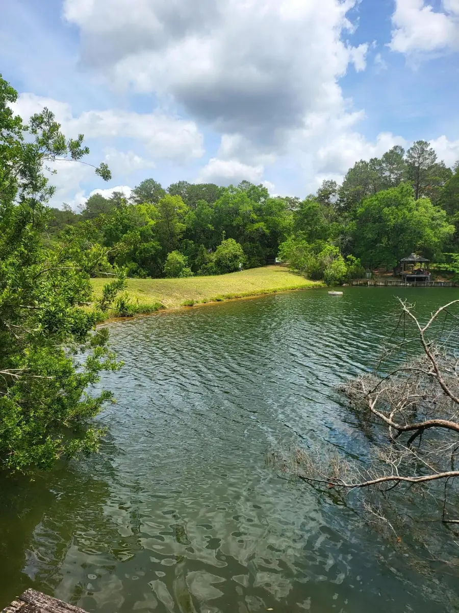 TBD E Roberts Road, Defuniak Springs, FL 32433 - #3