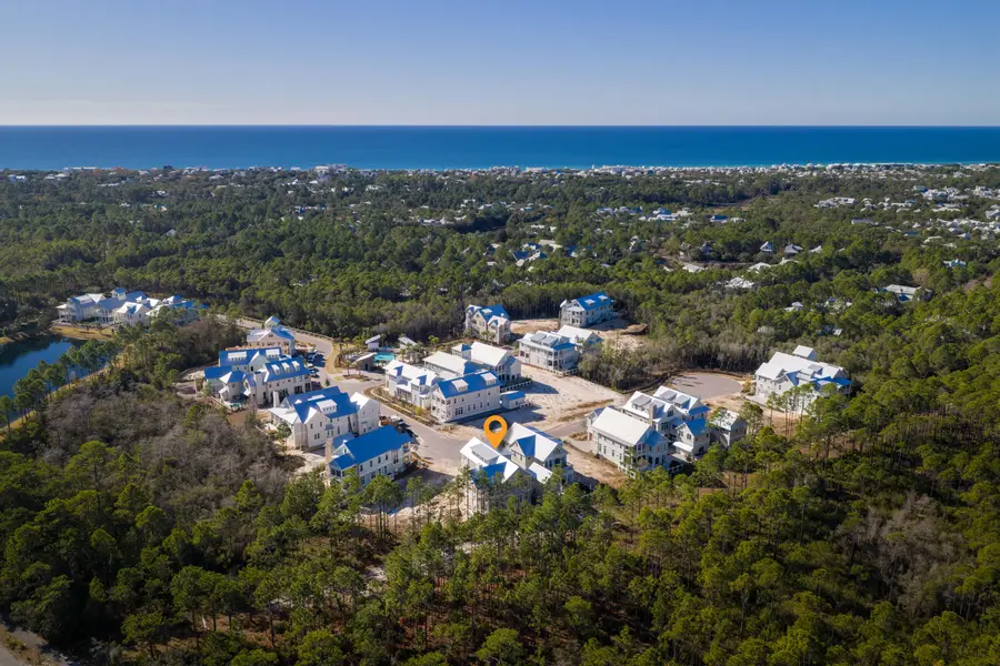202 Climbing Rose Way Way, Santa Rosa Beach, FL 32459 - #3