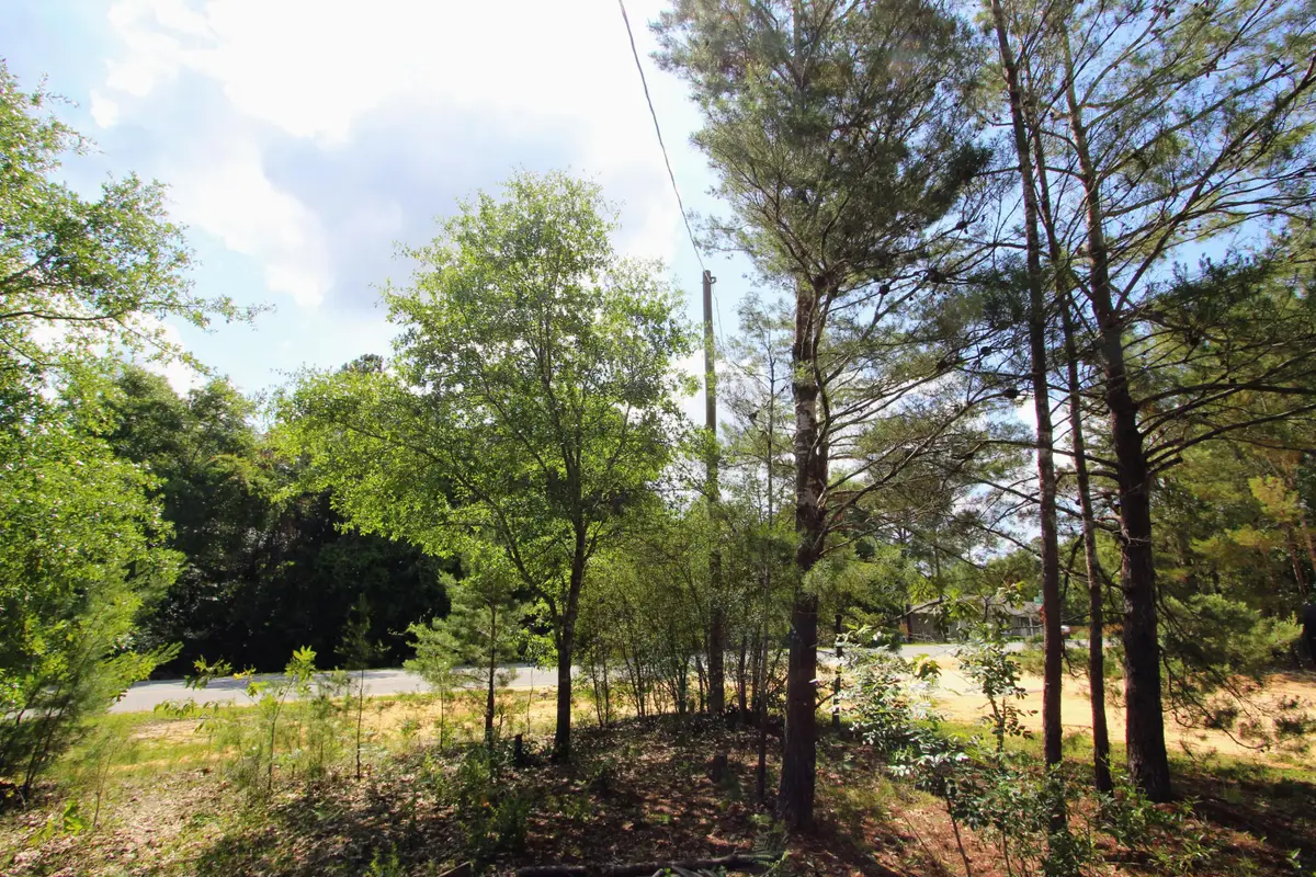 28 Meteyard Lane, Defuniak Springs, FL 32433 - #1