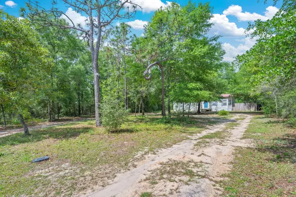 203 W Picasso Circle, DeFuniak Springs, FL 32433