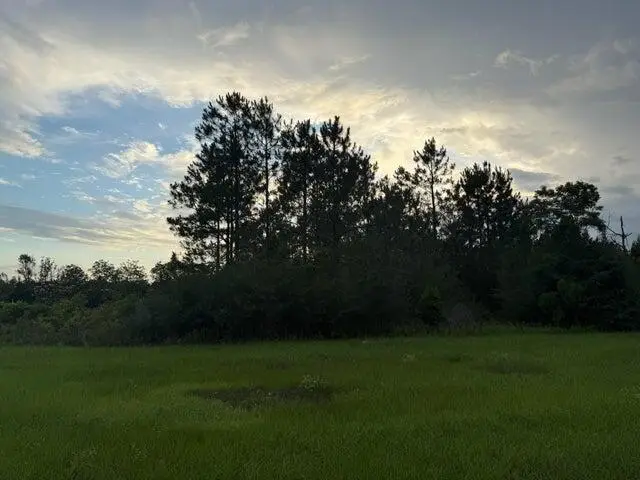 2.49 Acres W Co Hwy 147, Paxton, FL 32538 - #2