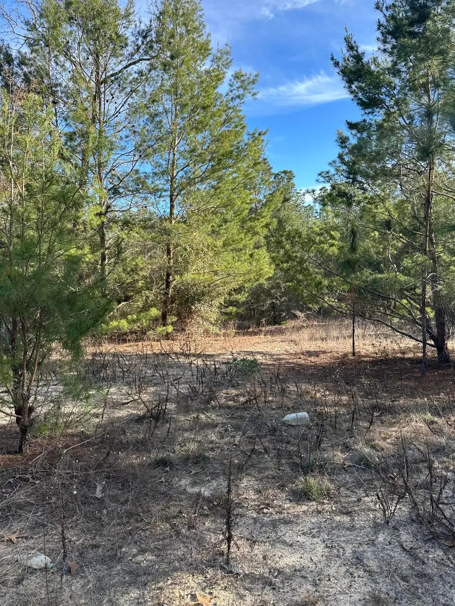 5225 Kimp Road, Crestview, FL 32539 - #3