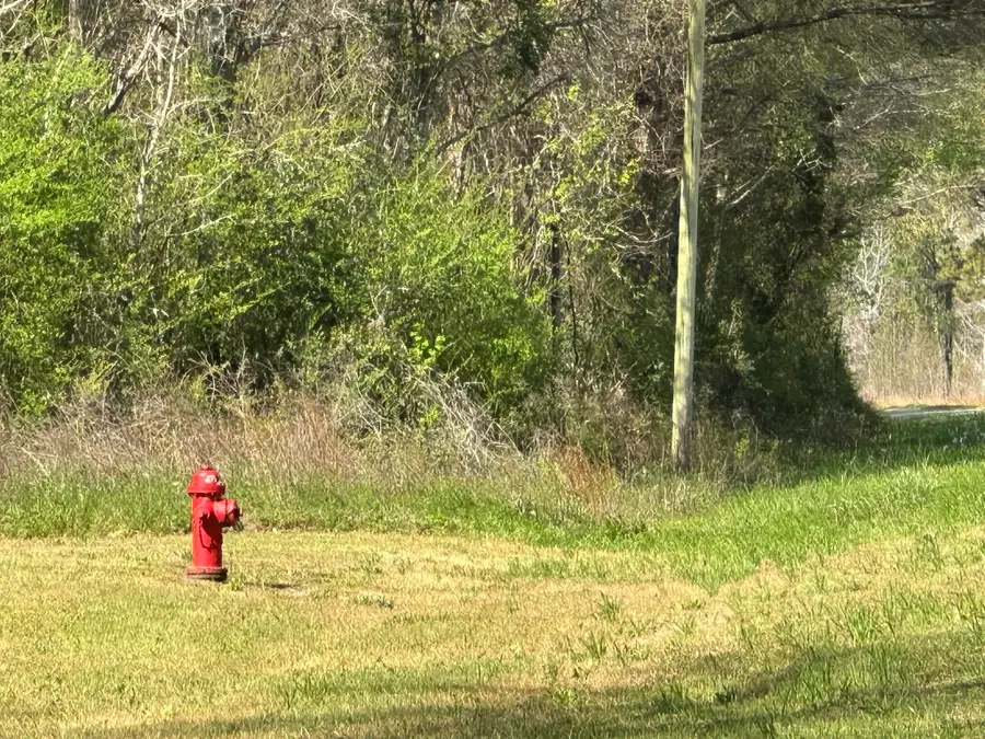 Lot E Snider Avenue, Other, AL 00N/A - #2