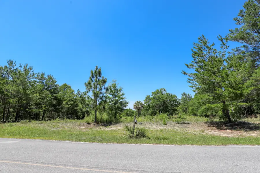 1252 Trout Drive, Defuniak Springs, FL 32433 - #3