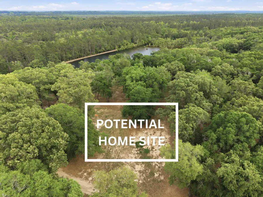 261 Wilkerson Road, Defuniak Springs, FL 32433 - #3