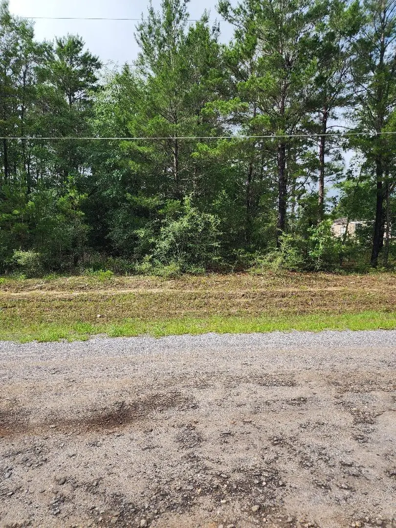 00 E Primrose East Avenue, Defuniak Springs, FL 32433 - #1