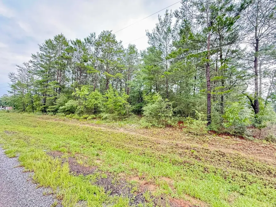 00 E Primrose Avenue, Defuniak Springs, FL 32433 - #2