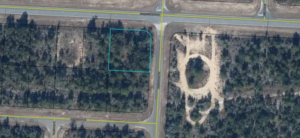 Lot 6 Washington Boulevard, Chipley, FL 32428