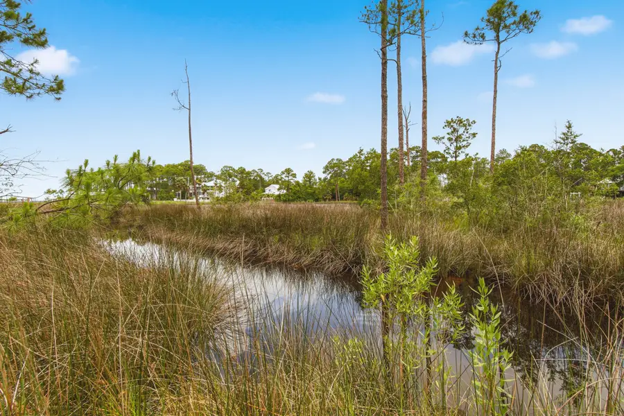 63 Gammage Street, Santa Rosa Beach, FL 32459 - #3
