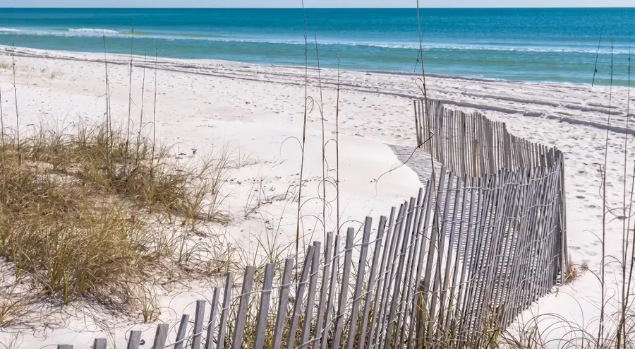 52 Holly Leaf Lane, Inlet Beach, FL 32461 - #3