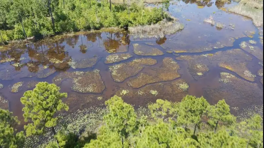 Lot 57 Tidal Bay Drive, Milton, FL 32583 - #2