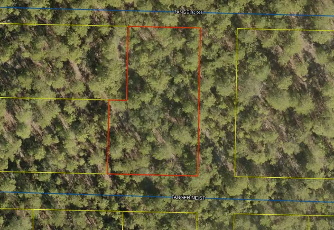 Lots 42-50 Tangerine Street, Defuniak Springs, FL 32433 - #1
