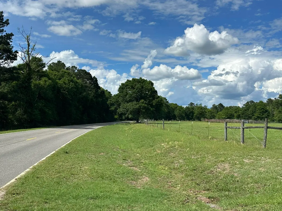 A & D County Road 20 / New Ebenezer Road, Florala, AL 36442 - #1