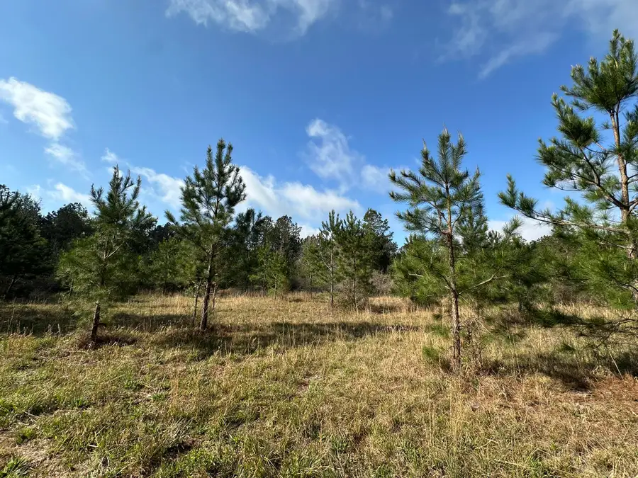 15.5+/-AC Snider Avenue, Other, AL 00N/A - #2