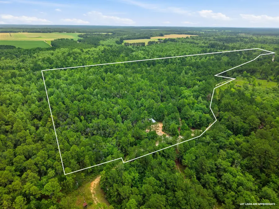 X Plantation Lane, Defuniak Springs, FL 32433 - #2
