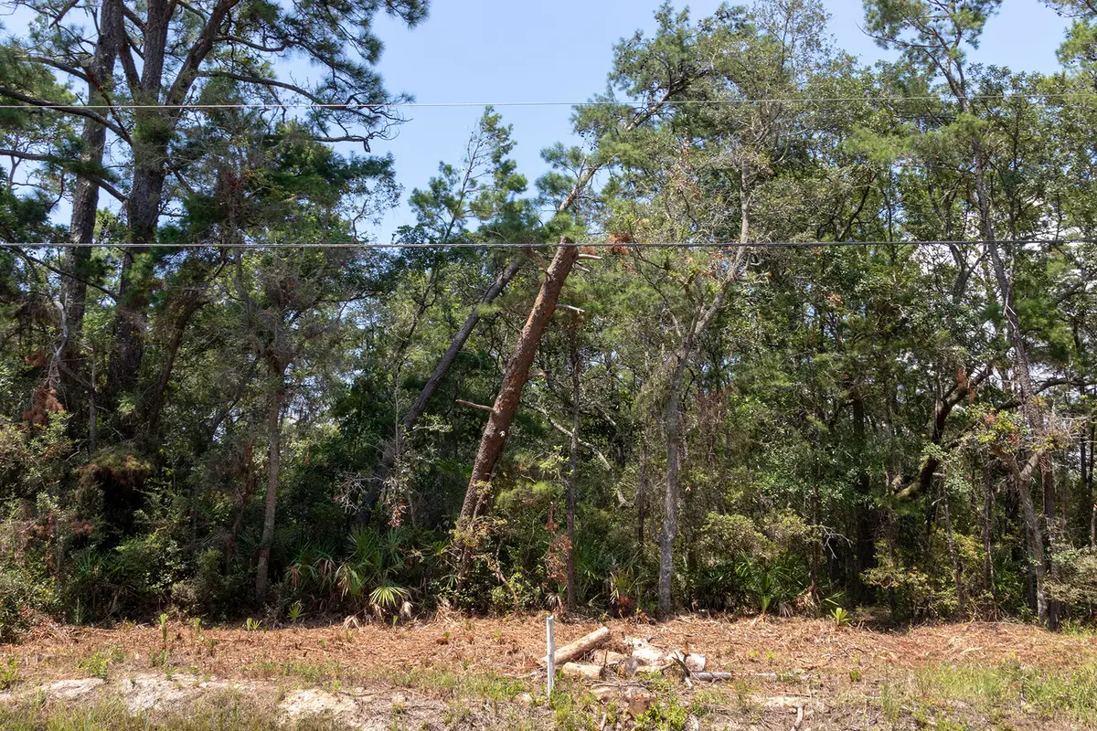 27 E Point Washington Road, Santa Rosa Beach, FL 32459 - #1