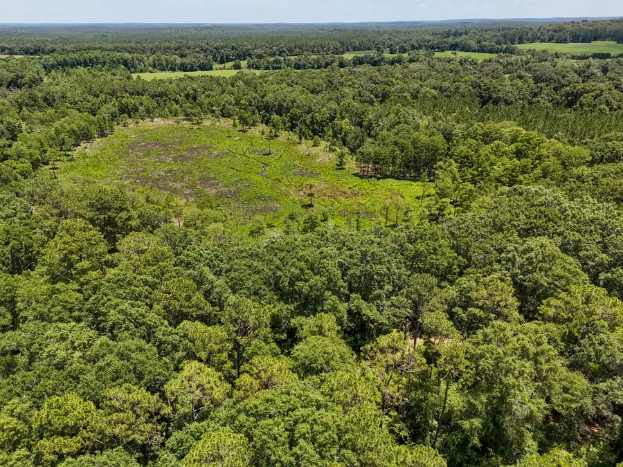 TBD St Highway 83, Westville, FL 32464 - #3