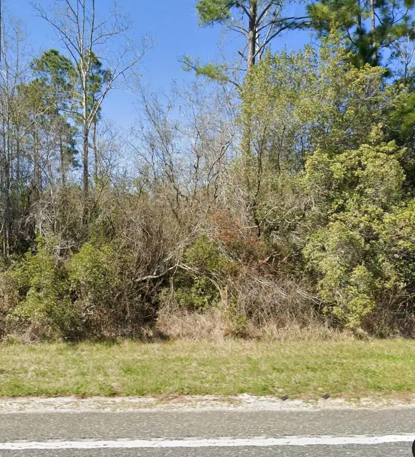 TBD Highway 231, Fountain, FL 32438 - #2