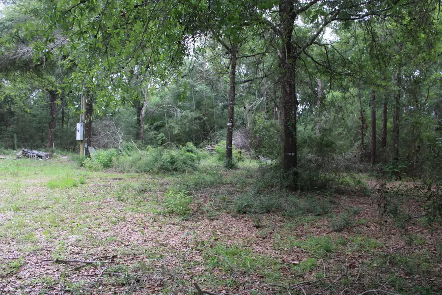 TBD Simpson, Defuniak Springs, FL 32433 - #3