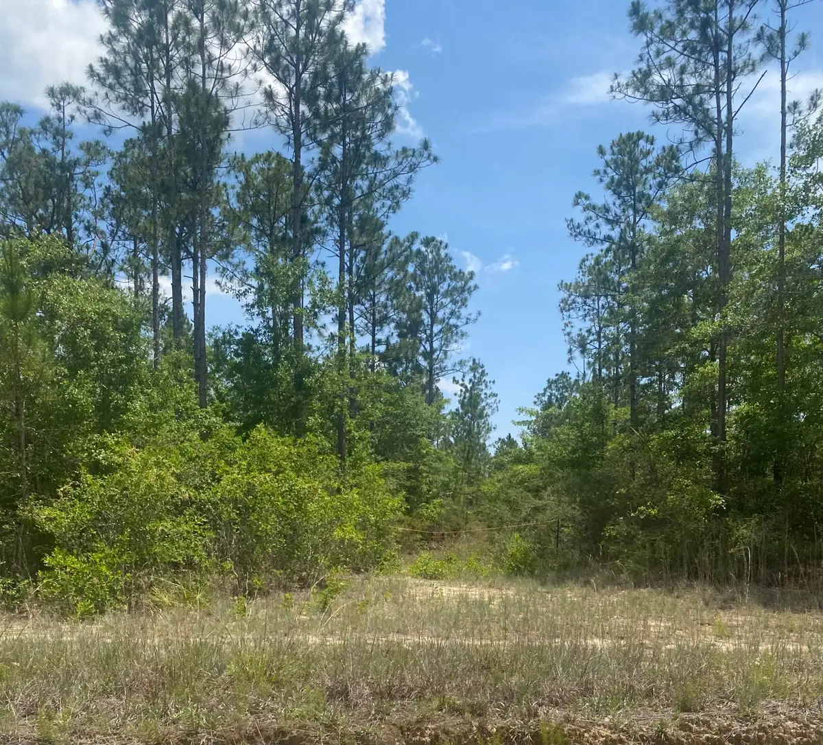TBD Joe Dugger Road, Freeport, FL 32439 - #1