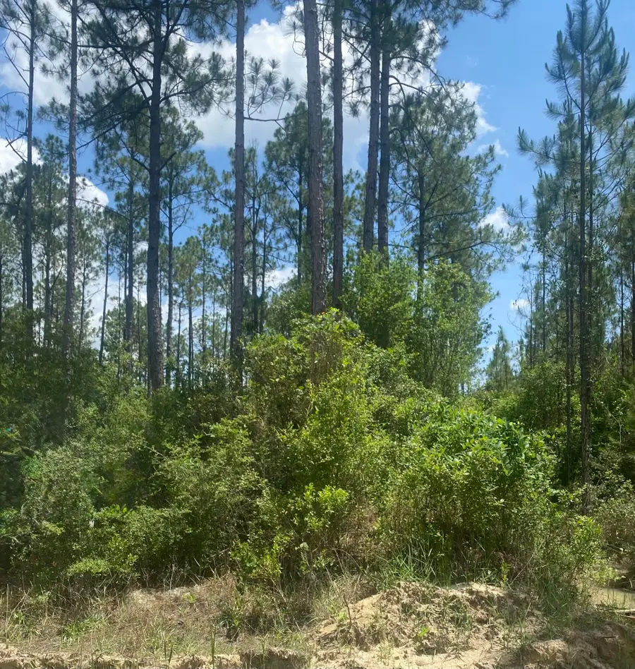 TBD Joe Dugger Road, Freeport, FL 32439 - #2