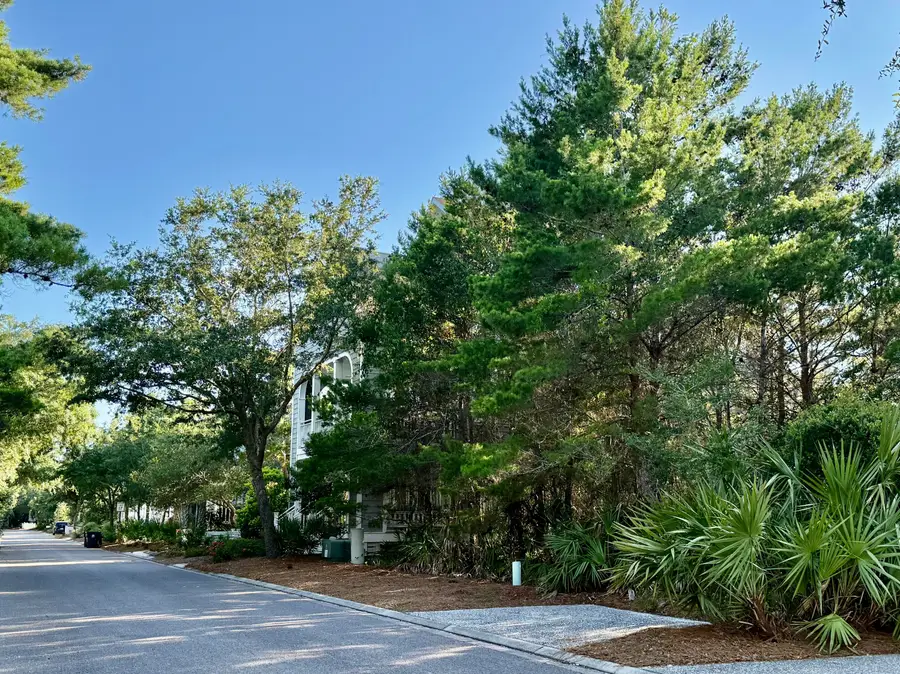 XX Coppersmith Lane, Inlet Beach, FL 32461 - #3