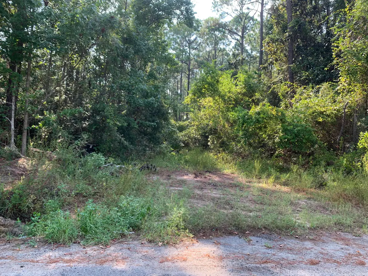 85 Central 7th Street, Santa Rosa Beach, FL 32459 - #1