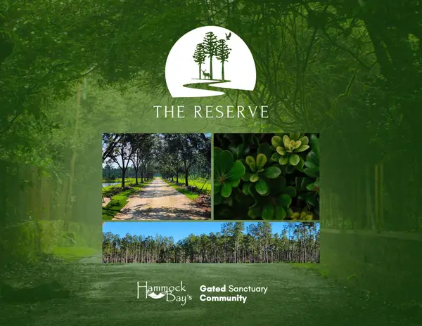 Lot 9 Reserve At Hammock Bay, Freeport, FL 32439