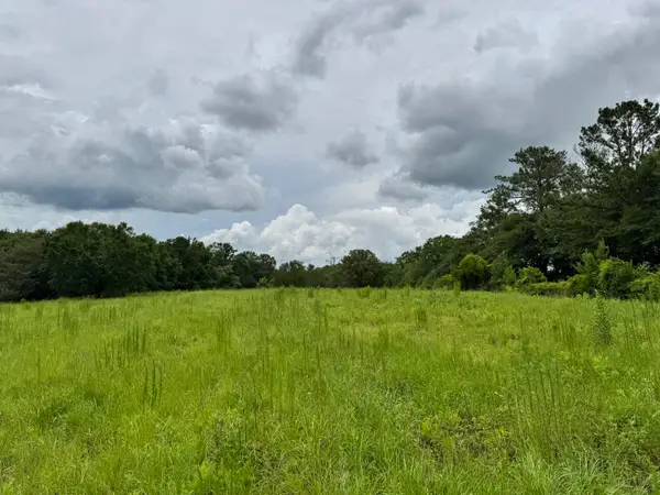 15 acres M & K Ln, Florala, AL 36442
