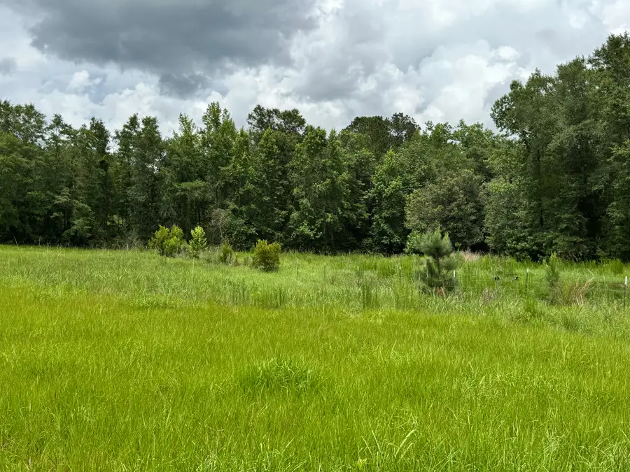 15 acres M & K Ln, Florala, AL 36442 - #3