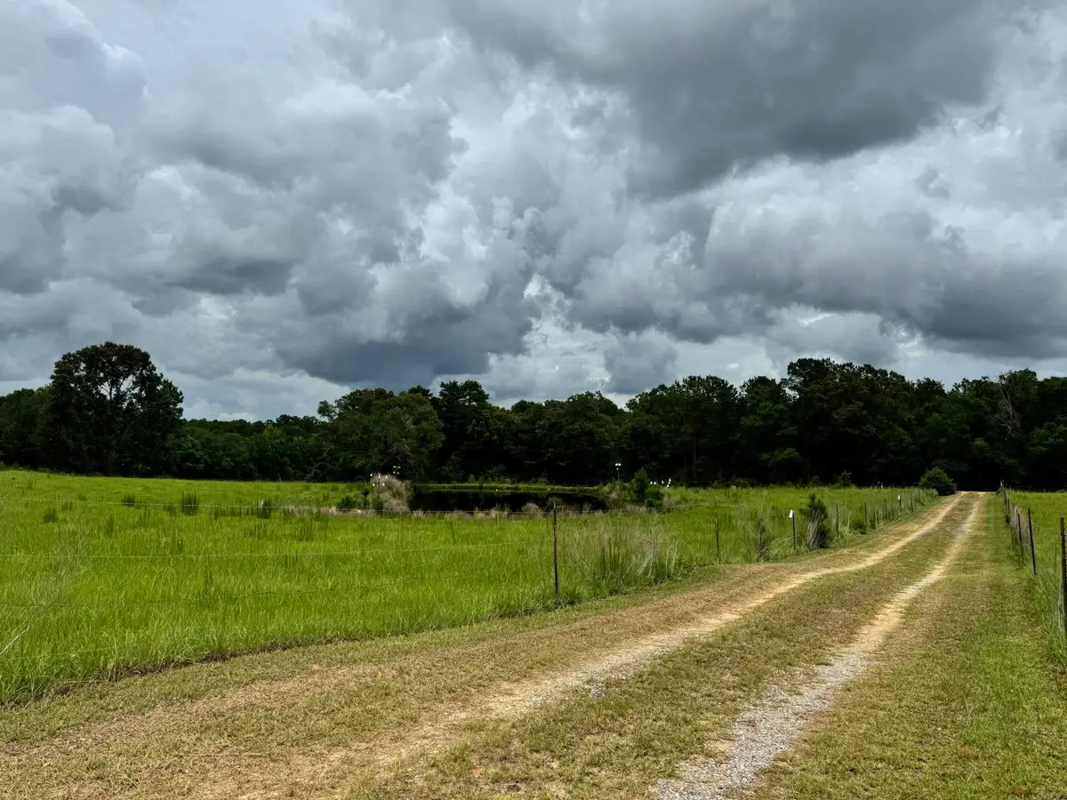 5901 M & K Lane, Florala, AL 36442 - #1