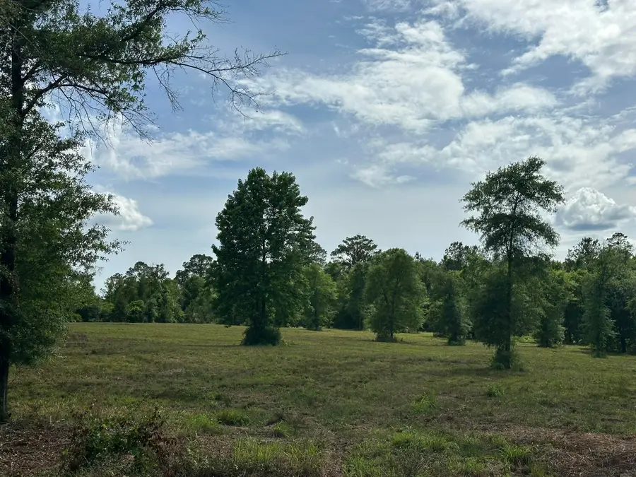 Parcel A County Road 20/new Ebenzer Road, Florala, AL 36442 - #3