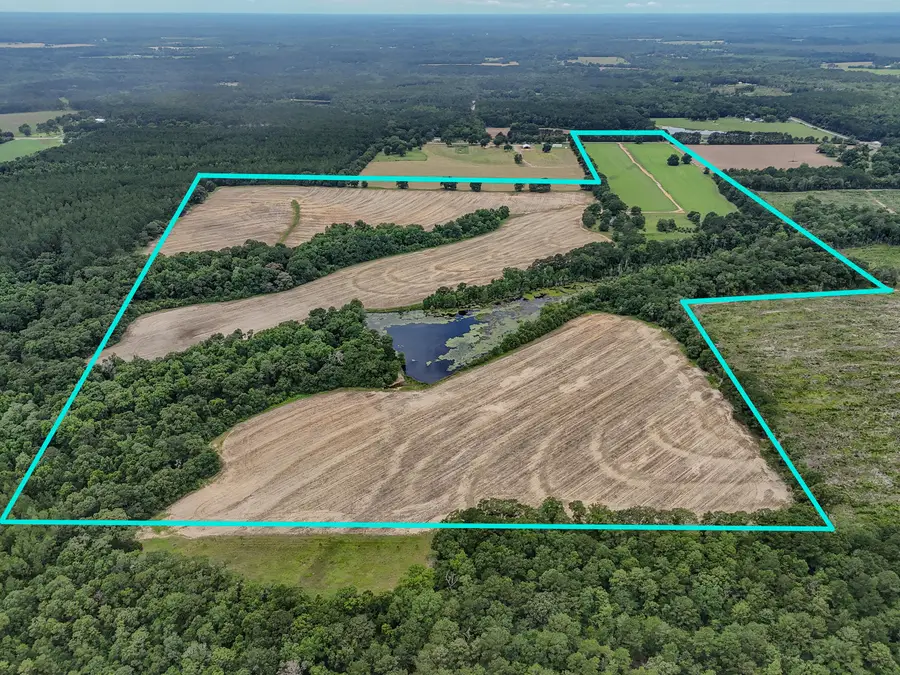 8116 Highway 393 Highway, Laurel Hill, FL 32567 - #2