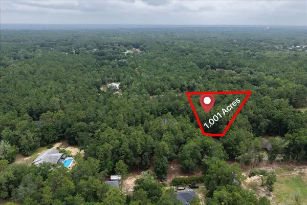 6315 Pheasant Lane, Perdido Key, FL 32507