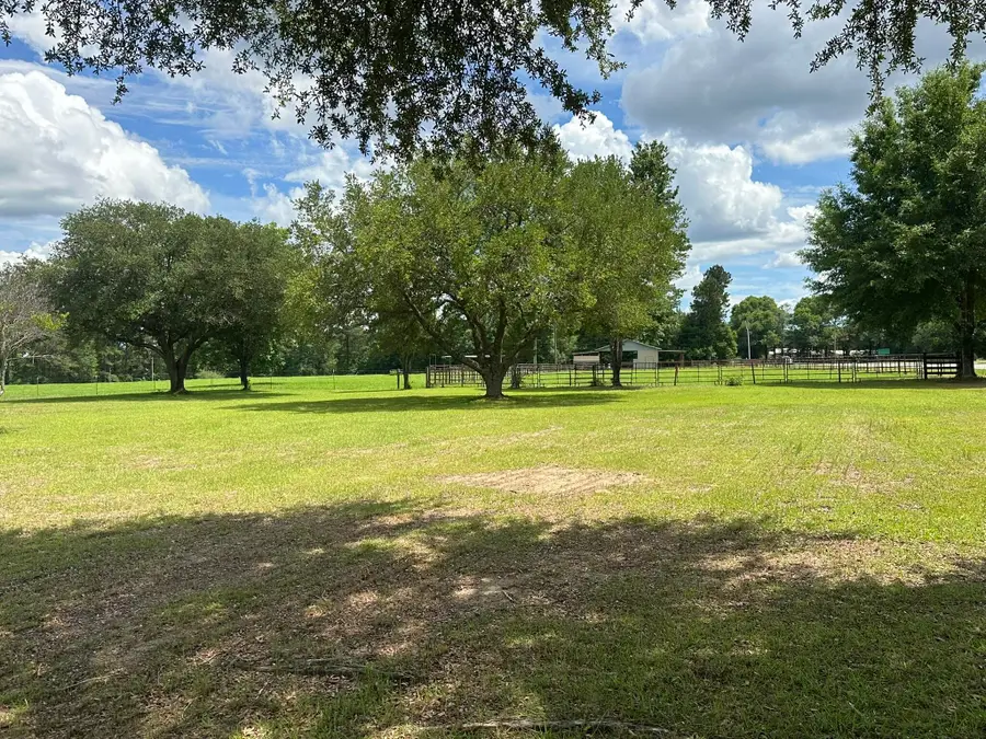 G & H County Road 20 / New Ebenezer Road, Florala, AL 36442 - #3