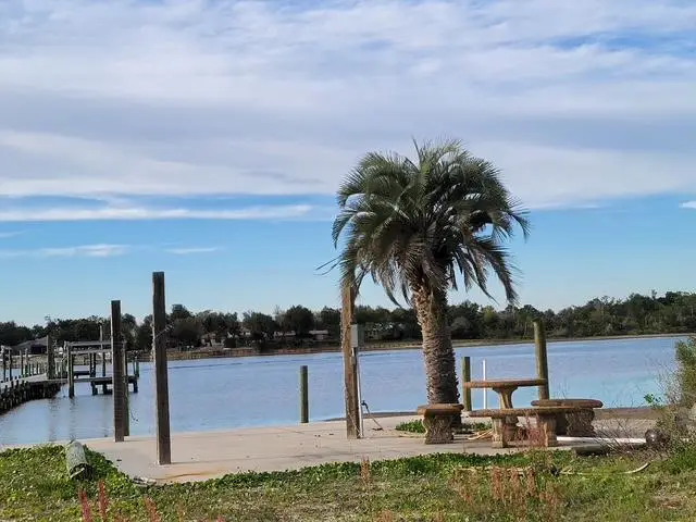 141 Blackshear Drive, Panama City, FL 32404 - #3