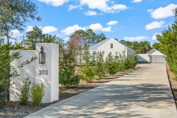 203 Carson Lane, Inlet Beach, FL 32461