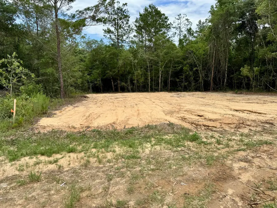 Lot 8 Trout Drive, Defuniak Springs, FL 32433 - #3
