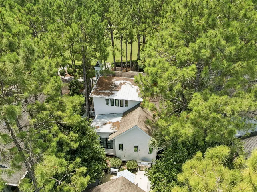 173 Cannonball Lane, Inlet Beach, FL 32461 - #3